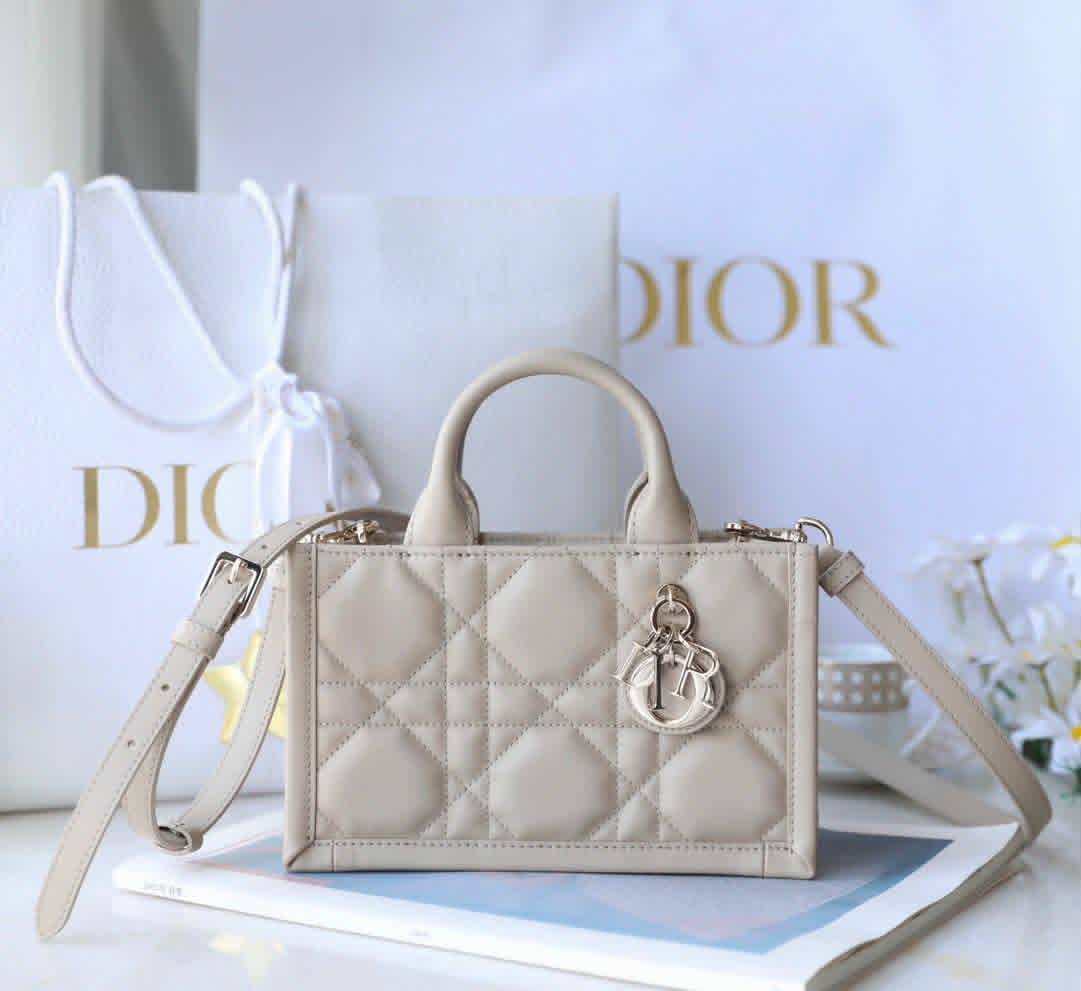 Ladies Hand Bag